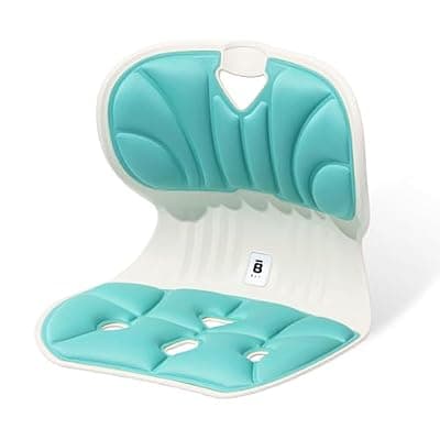 [BKT] BKT Lumbar Support Seat Cushions Student Chair, Ergonomic Chair Back Support for Long Sitting Students Studying, Reading, Doing Homework, Watching TV (M-Aqua Teal)