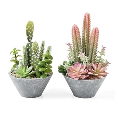 [Fuxdre] Fuxdre 2-Pack Artificial Succulent Plants in Vintage Plastic Pots - Waterproof Fake Plants Decor for Home Office Desk - Low Maintenance Indoor Greenery for Bathroom, Shelf & Table