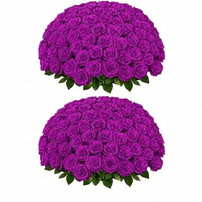 [LetuoClips] LetuoClips 50 PCS Purple Roses Artificial Flowers, Fake Purple Roses, Purple Artificial Roses with Stems for DIY Wedding Flowers Decoration, Valentines Roses, Wedding Decoration