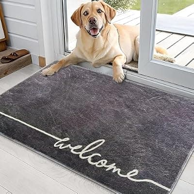 [dovfa] dovfa Washable Indoor Door Mat, 24"x36", Low-Profile Soft Surface Entrance Mat, Durable Stain & Fade Resistant, Non-Slip Absorbent Backing, Easy Clean Welcome Doormat for Home Indoor Entryway