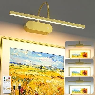 [Bridika] Rechargeable Picture Lights for Wall, Battery Operated Wall Light with Flexible Gooseneck, Wireless Art Lighting for Paintings & Portraits, Remote Control, 3 Colors Dimmable, Timer (Gold, 1 Pack)