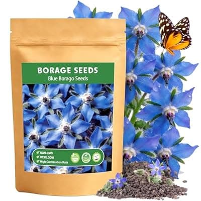 [LUOJIBIE] LUOJIBIE Borage Seeds, 4,000+ Blue Borage Seeds for Planting Outdoor & Indoor, Flower Seeds Bulk for Garden, Non-GMO & Heirloom, Easy to Grow