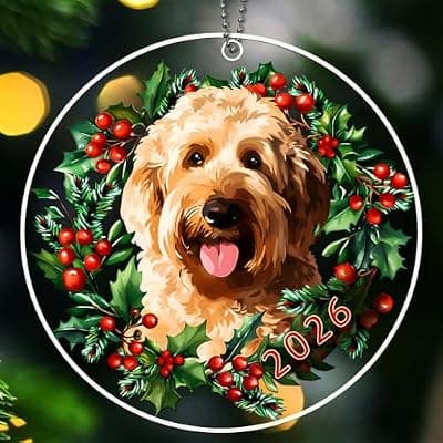 [YXOTJHS] Goldendoodle Ornament, Golden Doodle Gifts Women, Golden Doodle Ornament | Golden Doodle Ornament for Christmas Tree, Mini Goldendoodle Ornament, Goldendoodle Gifts, 2026 Dated, Dog Lover Decor